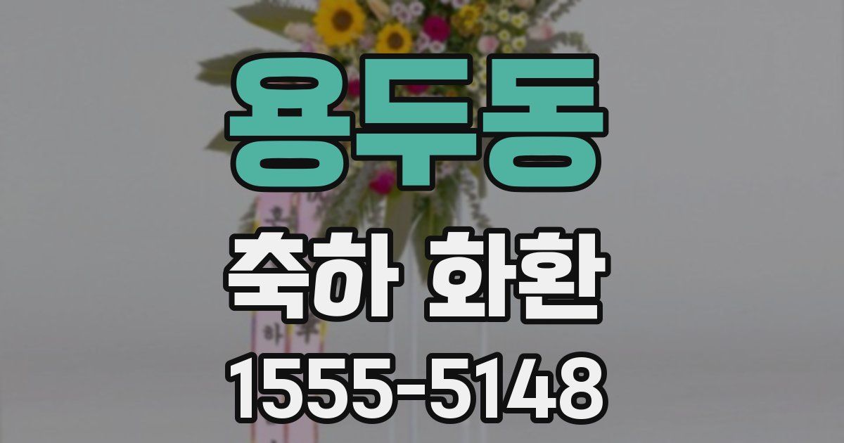 용두동 축하 화환