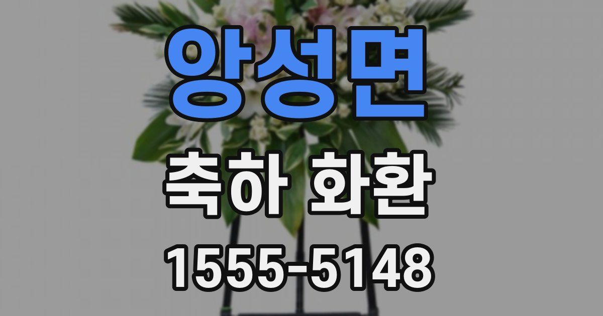 앙성면 축하 화환