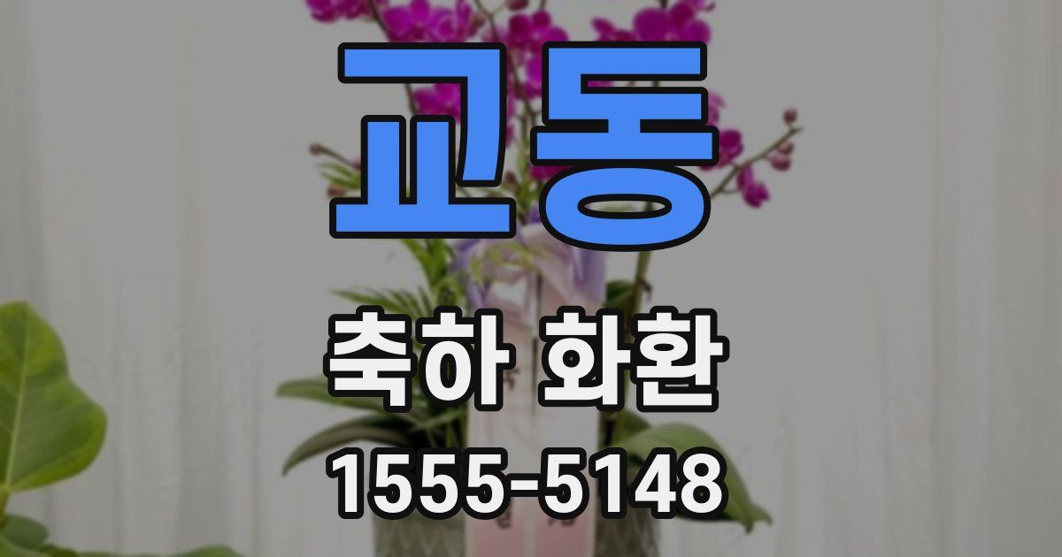 교동 축하 화환