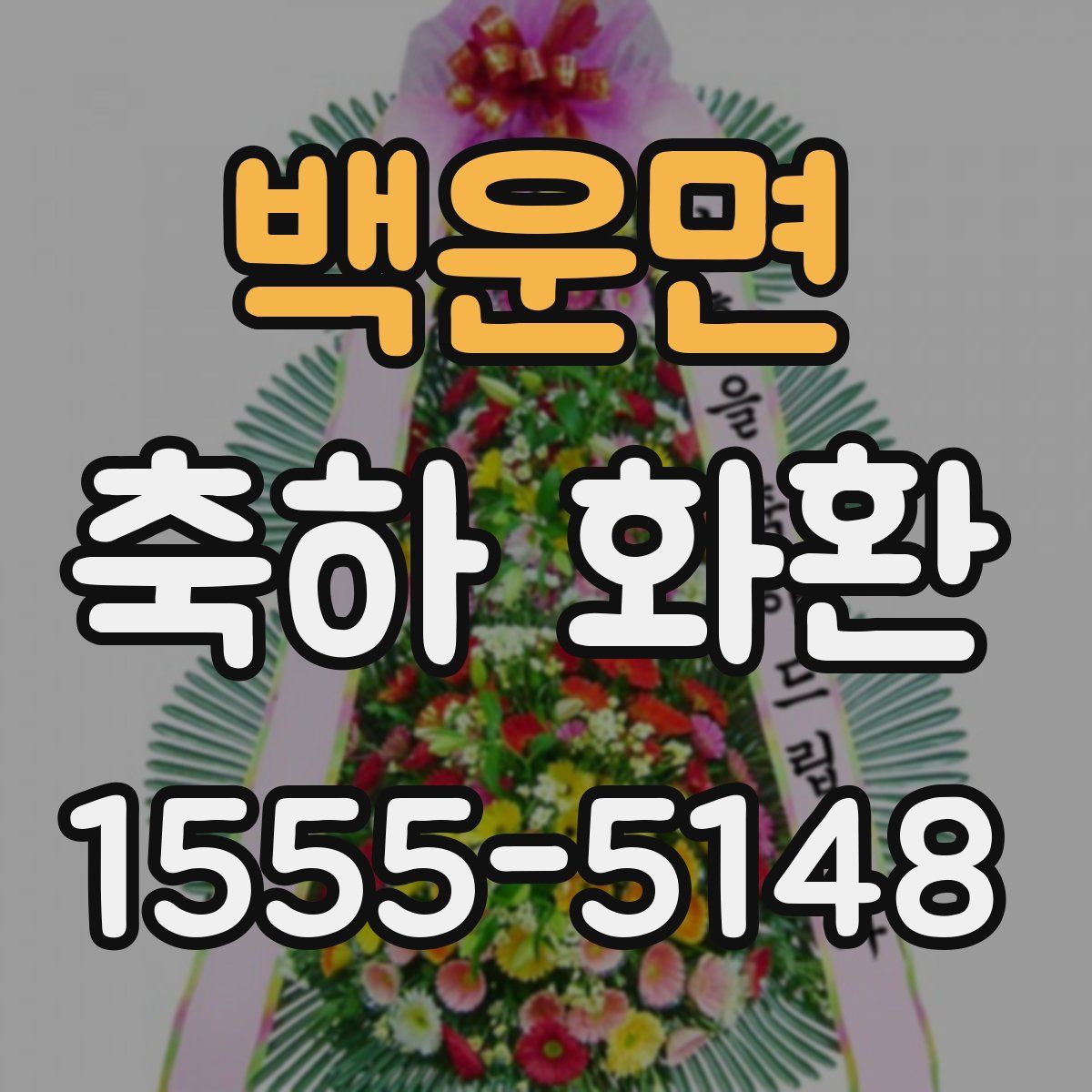 백운면 축하 화환
