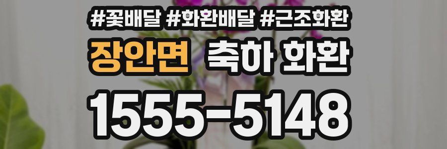 장안면 축하 화환