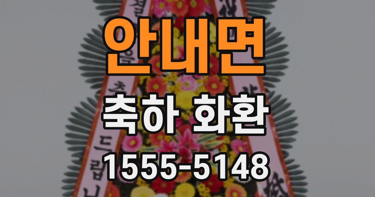 안내면 축하 화환