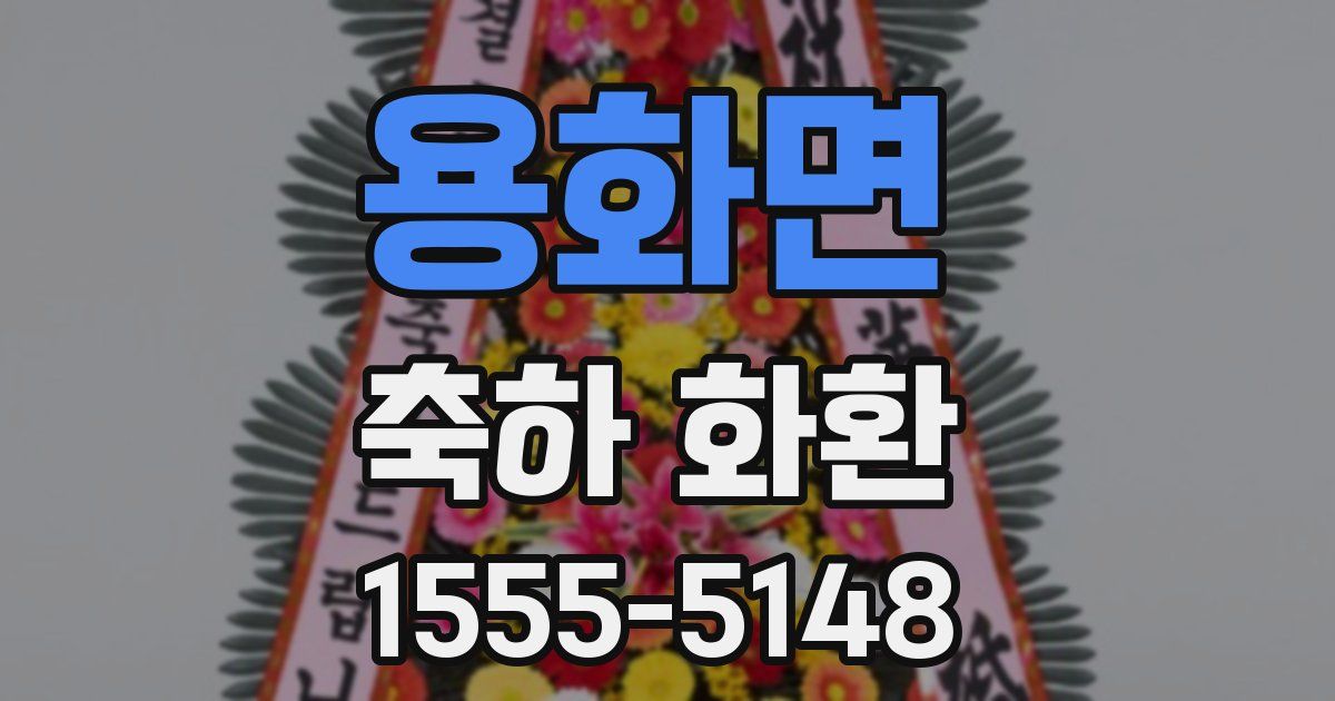 용화면 축하 화환
