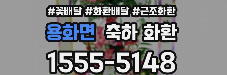 용화면 축하 화환