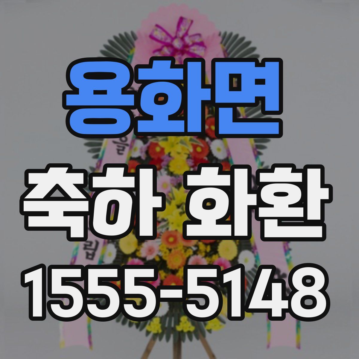 용화면 축하 화환