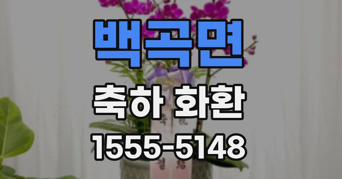 백곡면 축하 화환