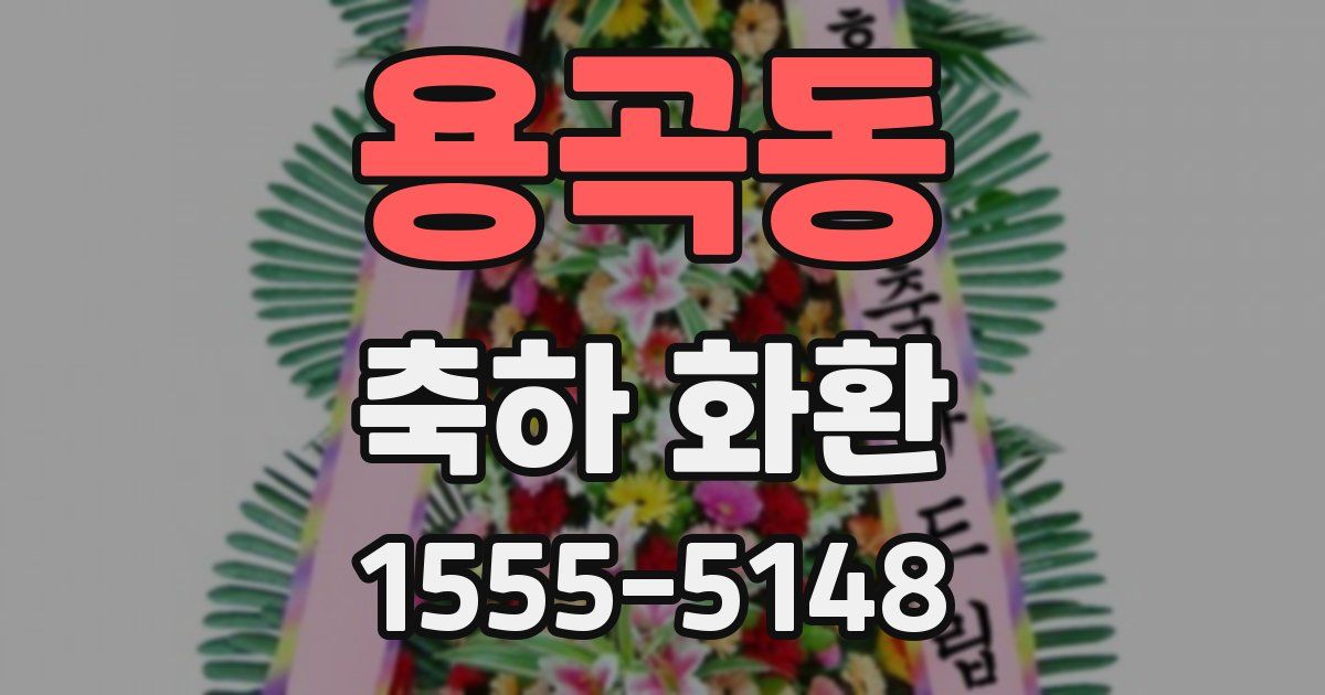 용곡동 축하 화환