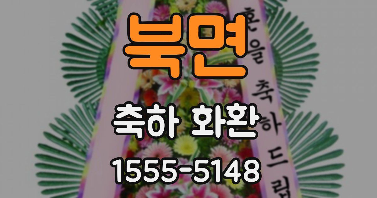 북면 축하 화환