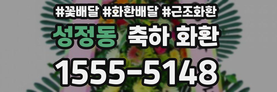 성정동 축하 화환