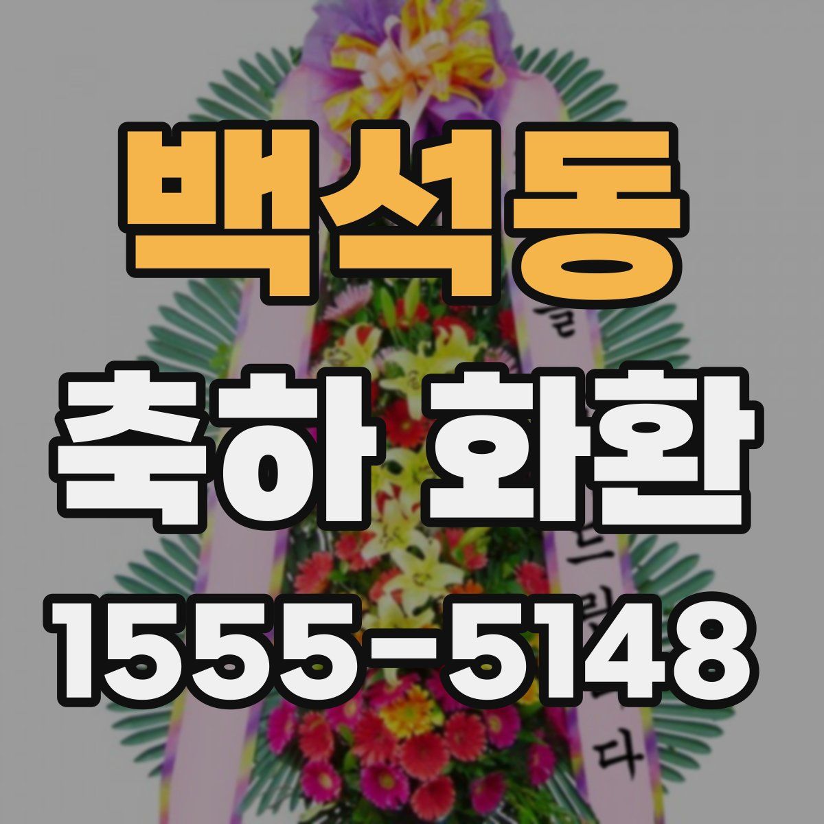 백석동 축하 화환