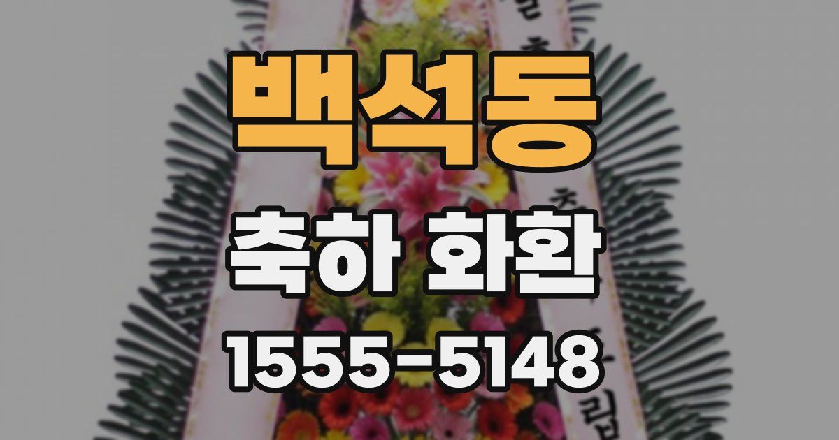 백석동 축하 화환