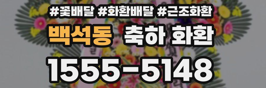 백석동 축하 화환