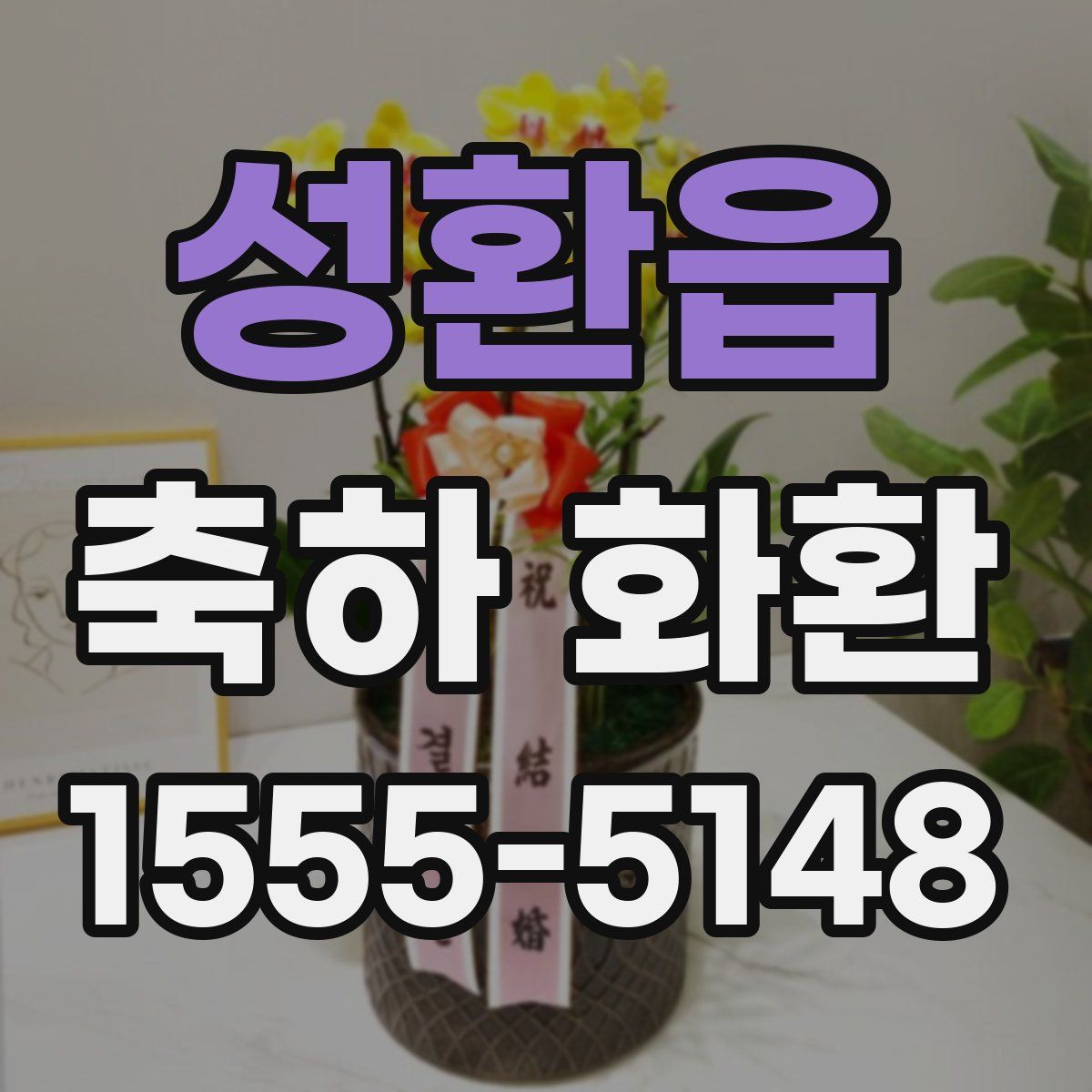 성환읍 축하 화환