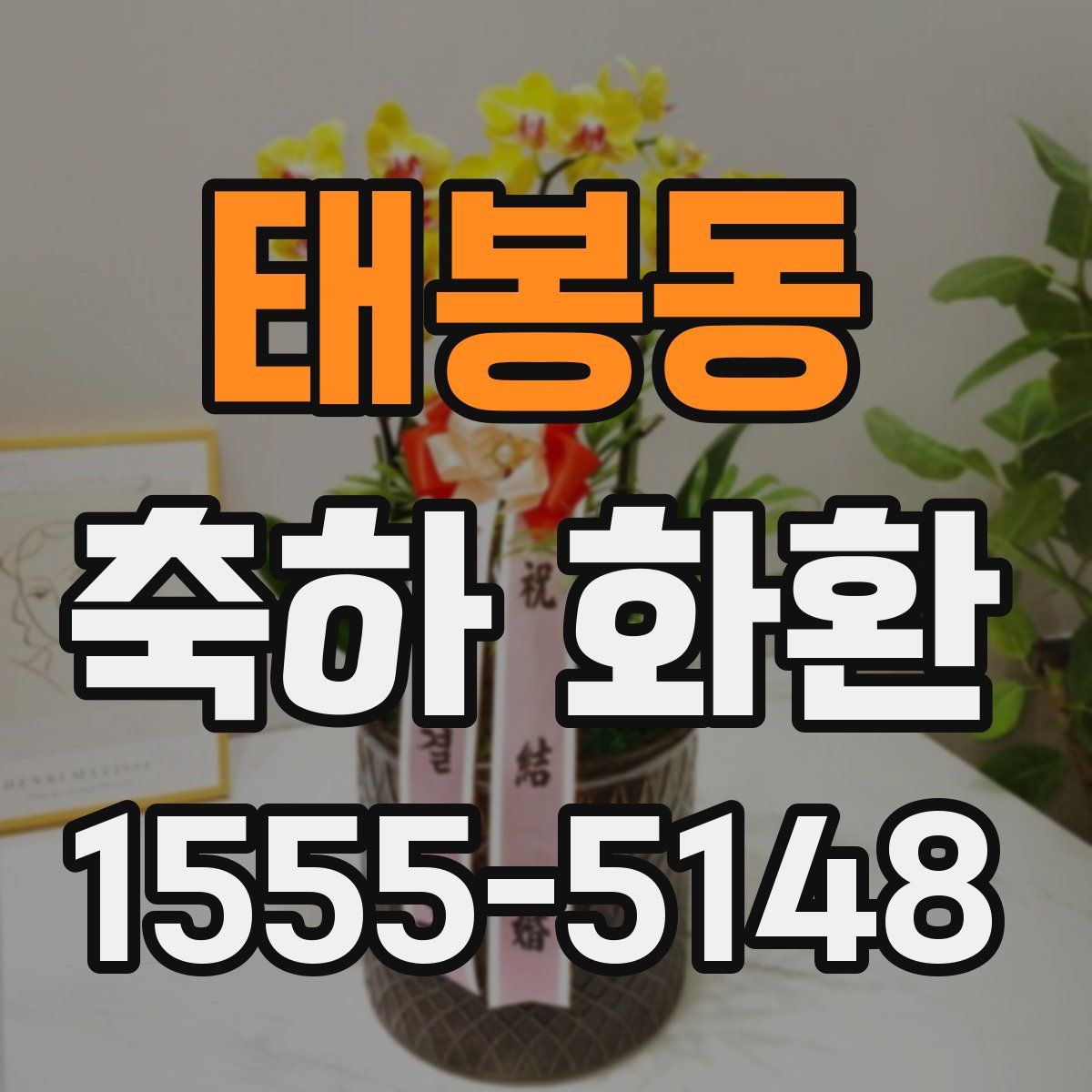 태봉동 축하 화환
