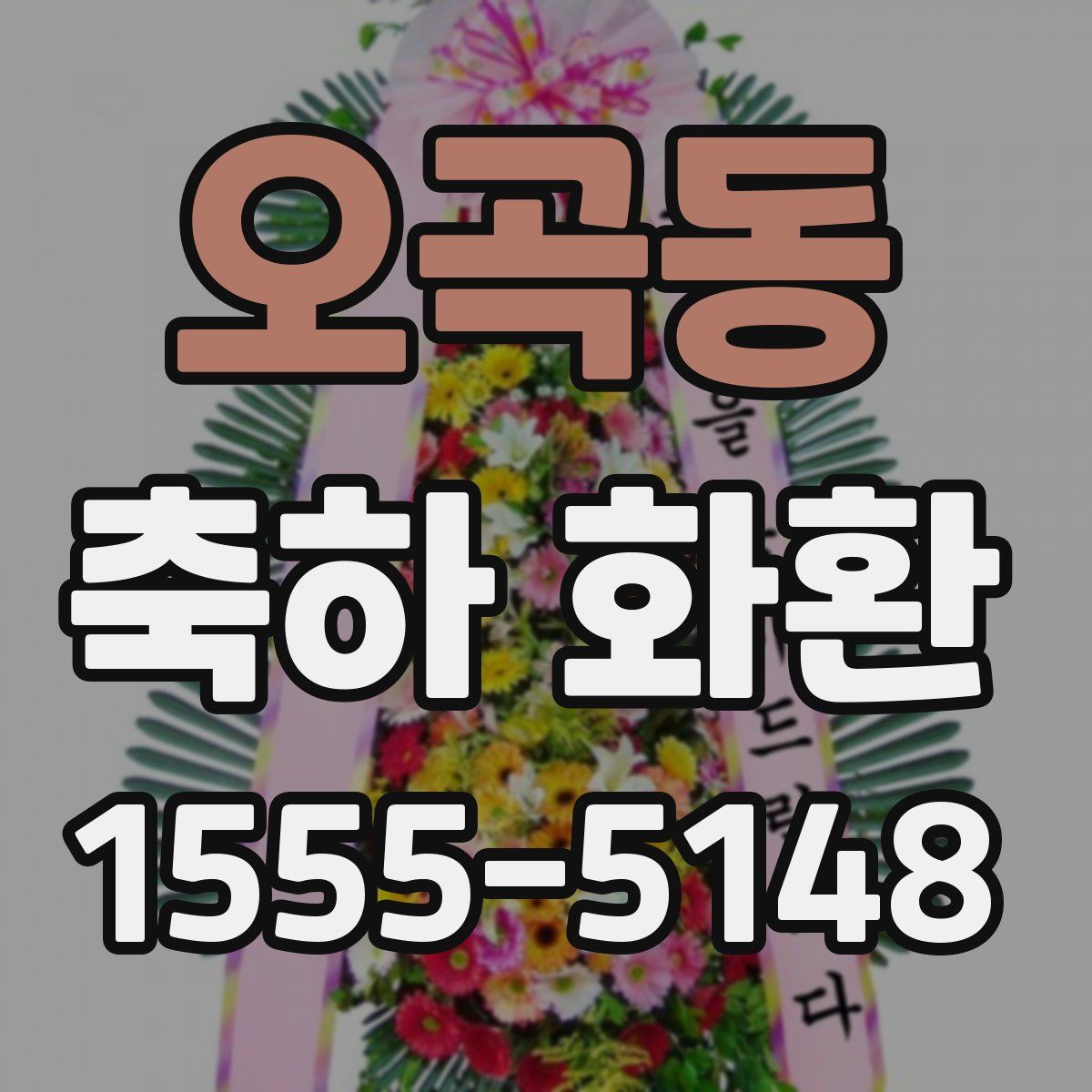 오곡동 축하 화환