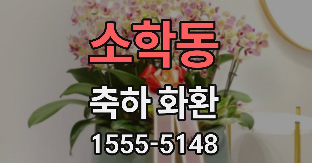 소학동 축하 화환
