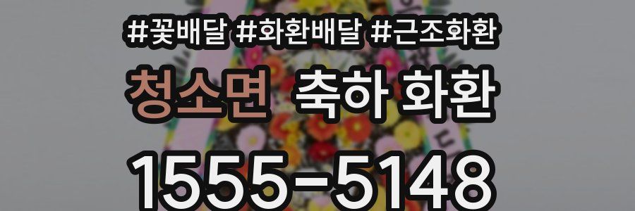 청소면 축하 화환
