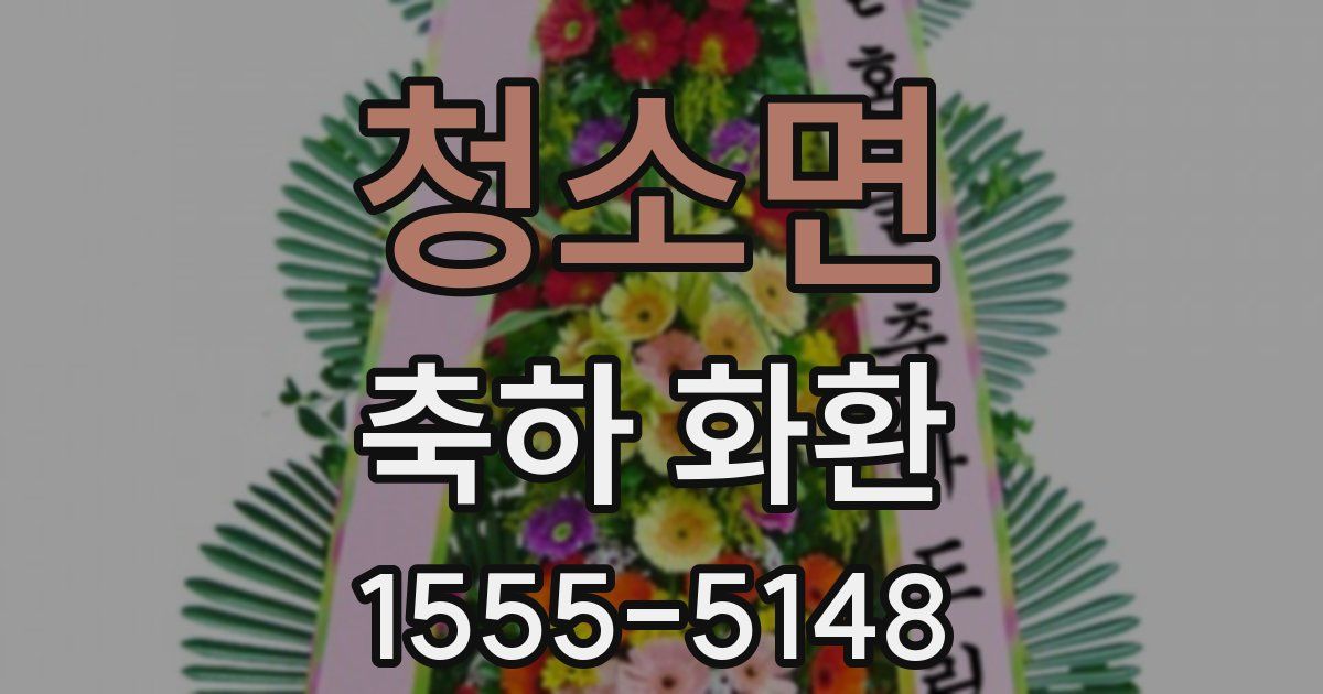 청소면 축하 화환