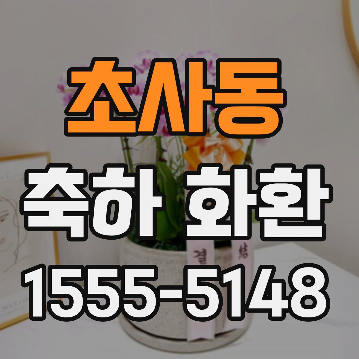 초사동 축하 화환