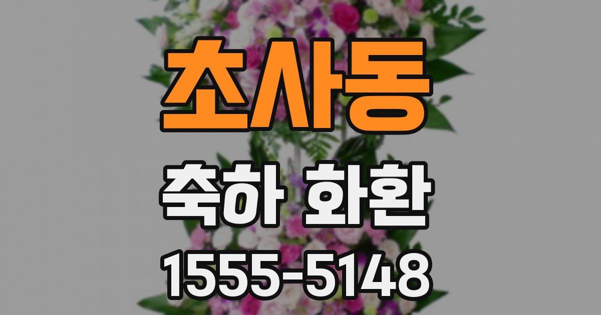 초사동 축하 화환