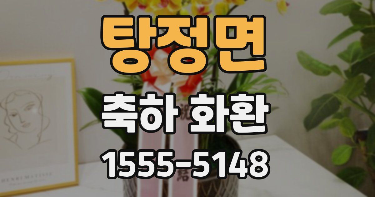 탕정면 축하 화환
