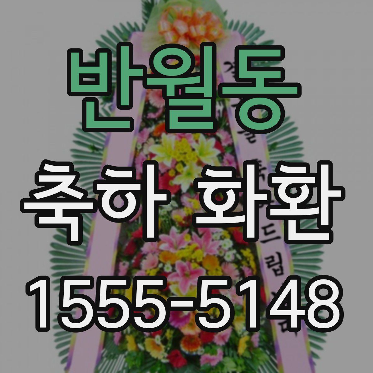 반월동 축하 화환