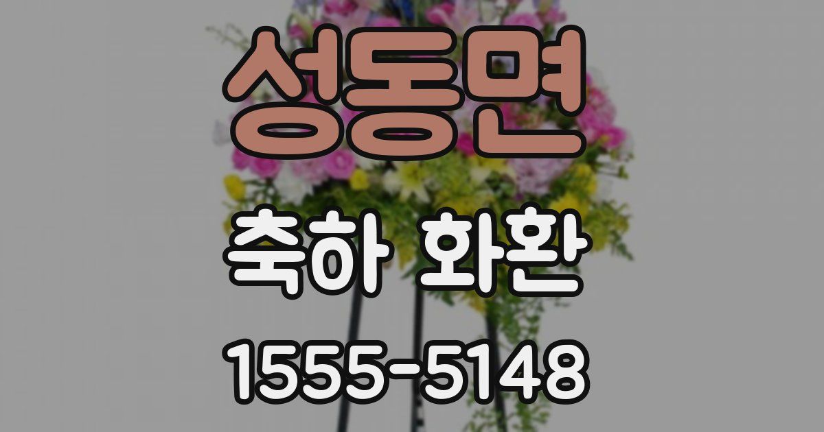 성동면 축하 화환