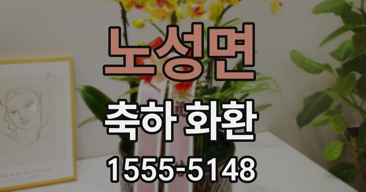 노성면 축하 화환