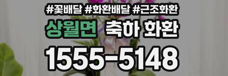 상월면 축하 화환