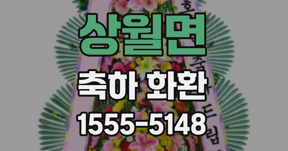 상월면 축하 화환