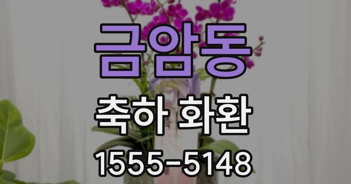 금암동 축하 화환