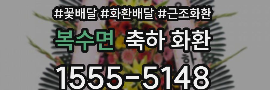 복수면 축하 화환