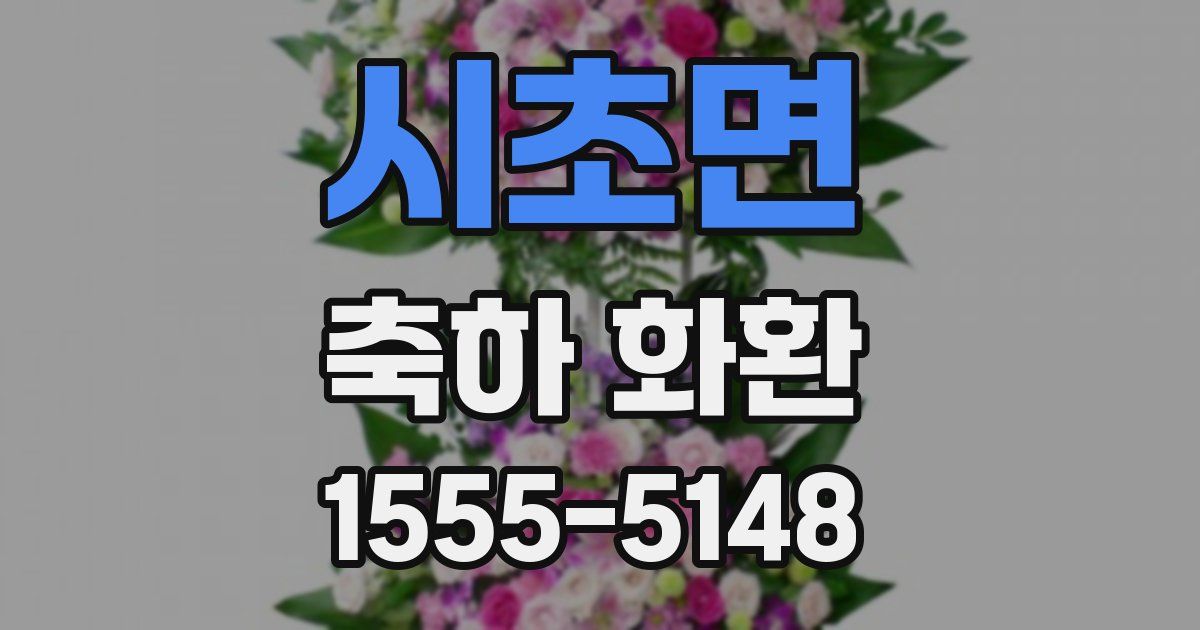 시초면 축하 화환