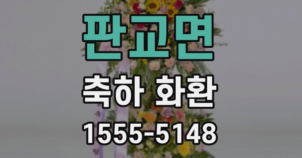판교면 축하 화환