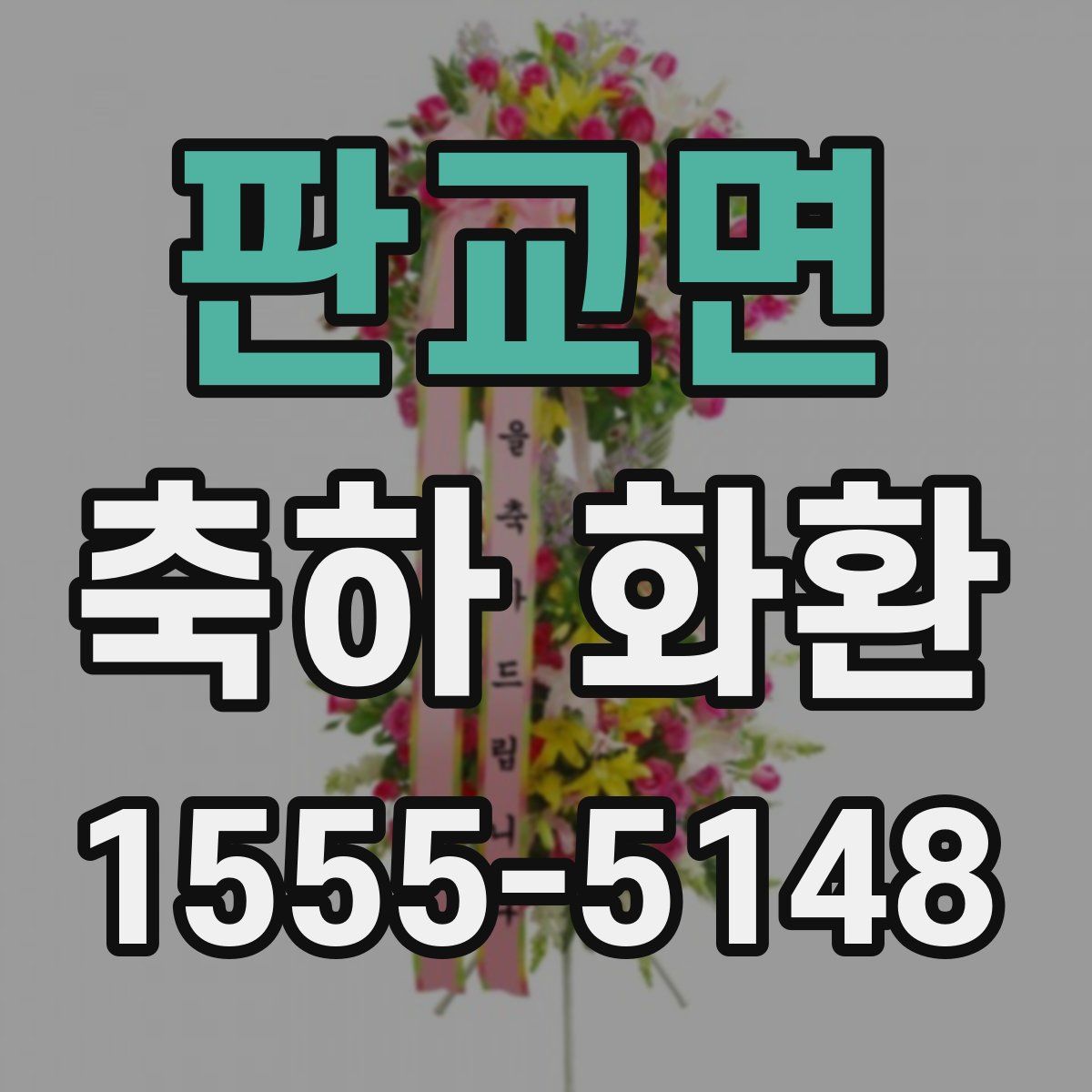 판교면 축하 화환