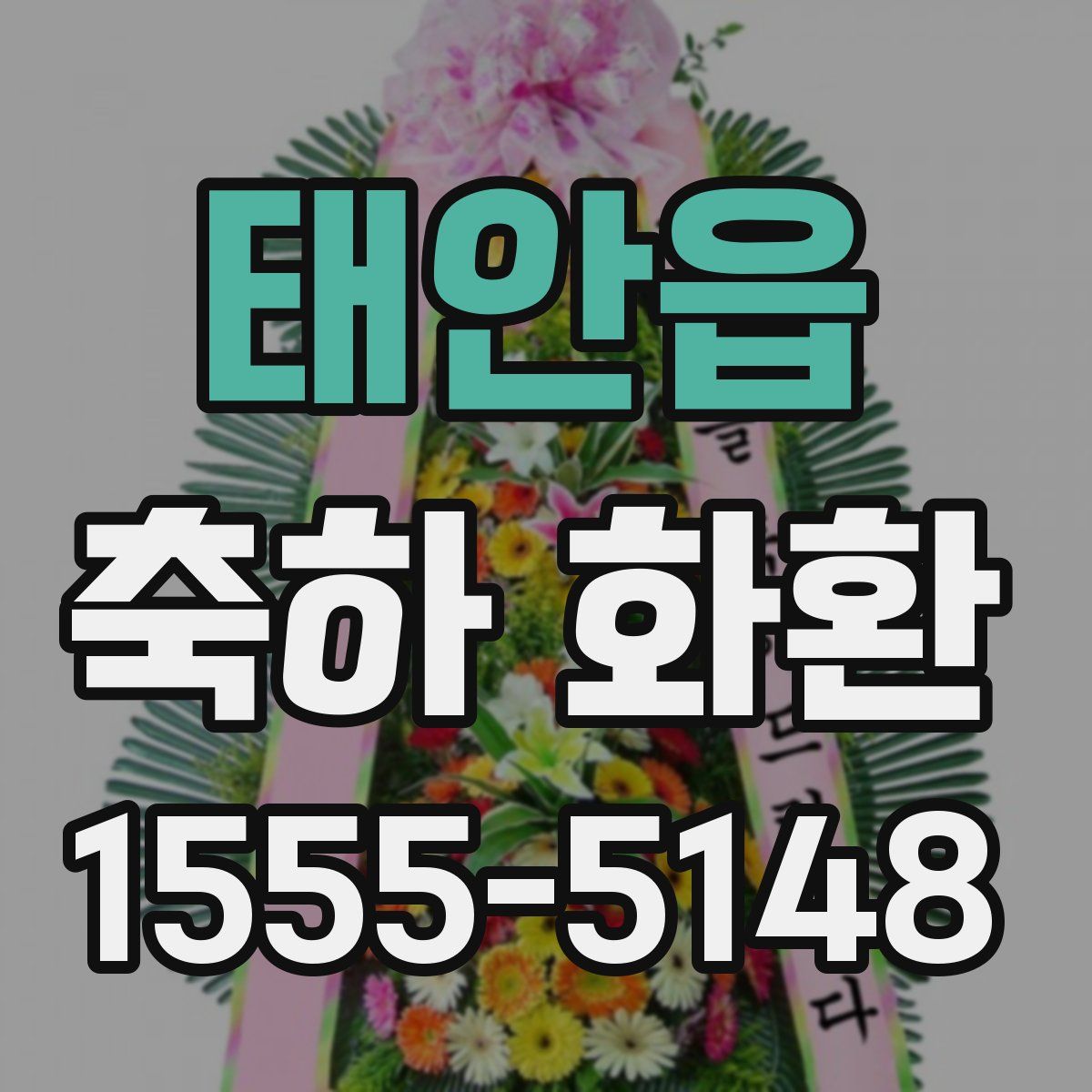 태안읍 축하 화환