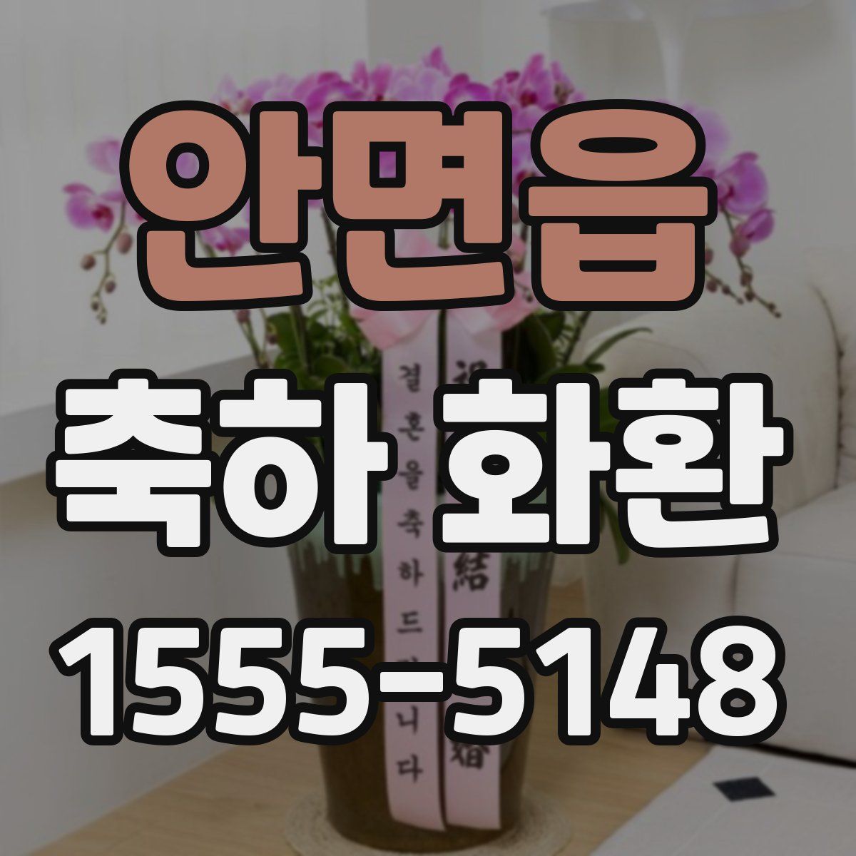 안면읍 축하 화환