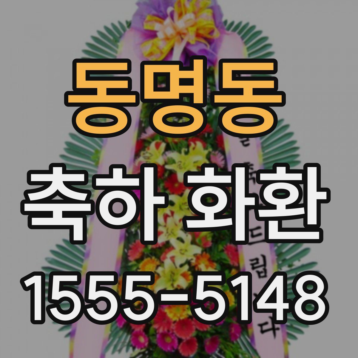 동명동 축하 화환
