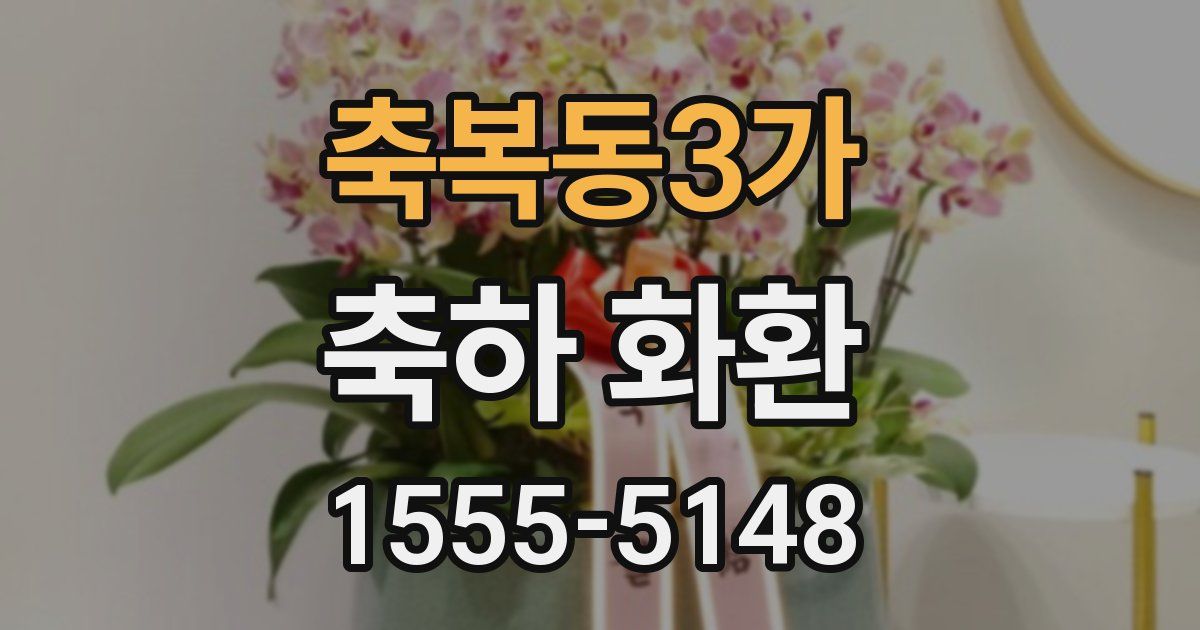 축복동3가 축하 화환