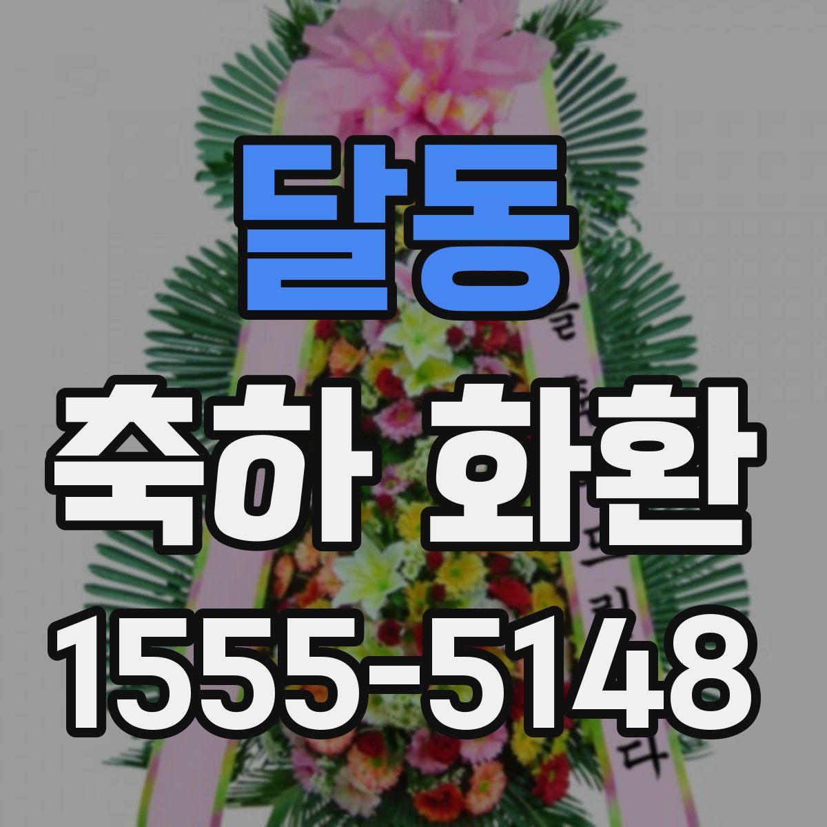 달동 축하 화환
