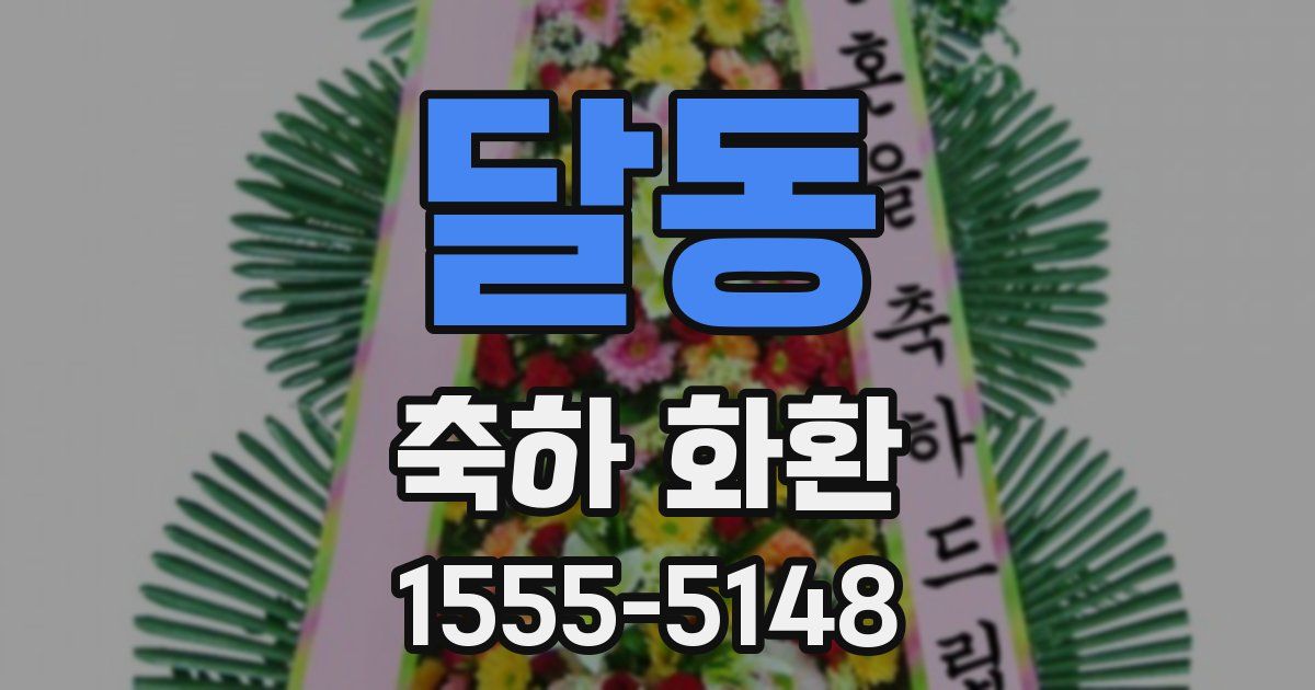 달동 축하 화환