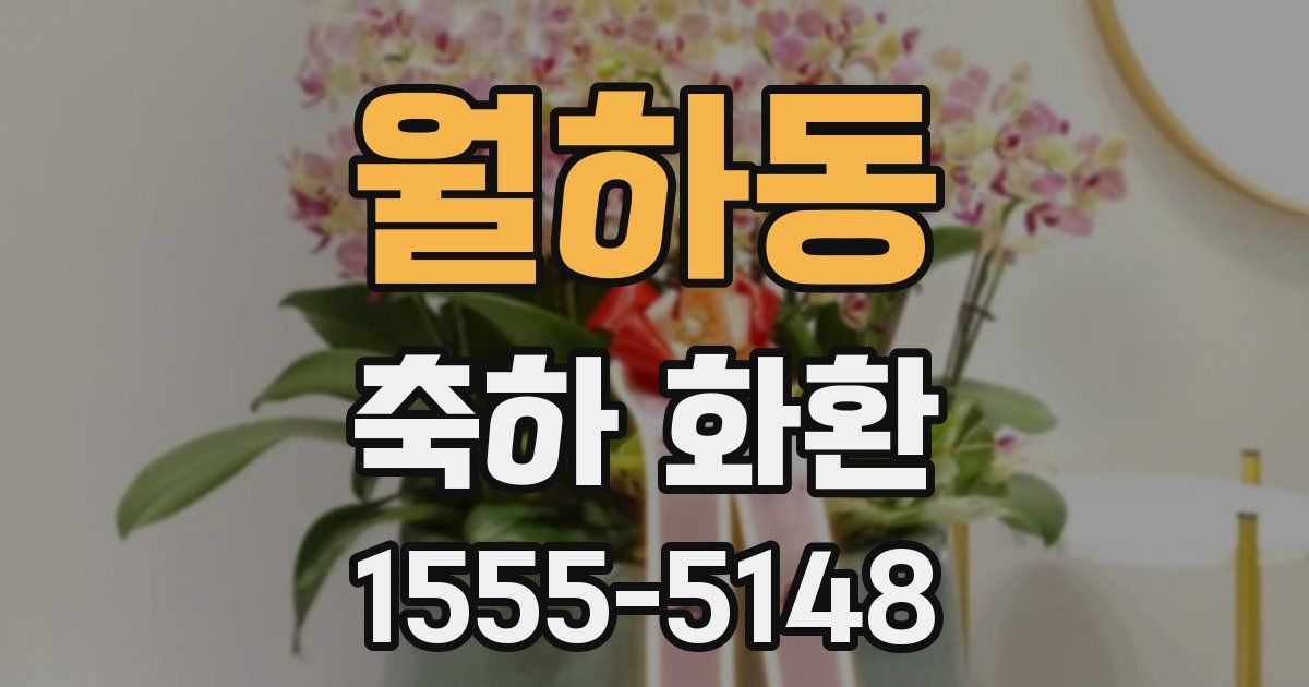 월하동 축하 화환