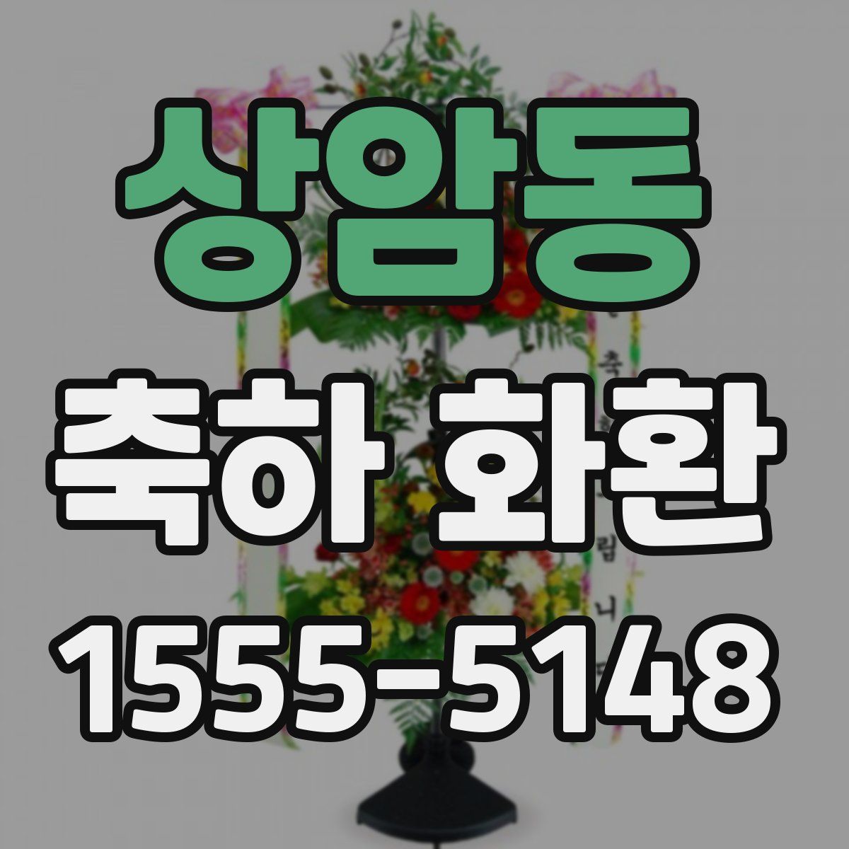 상암동 축하 화환
