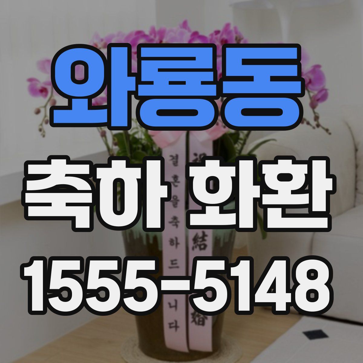 와룡동 축하 화환