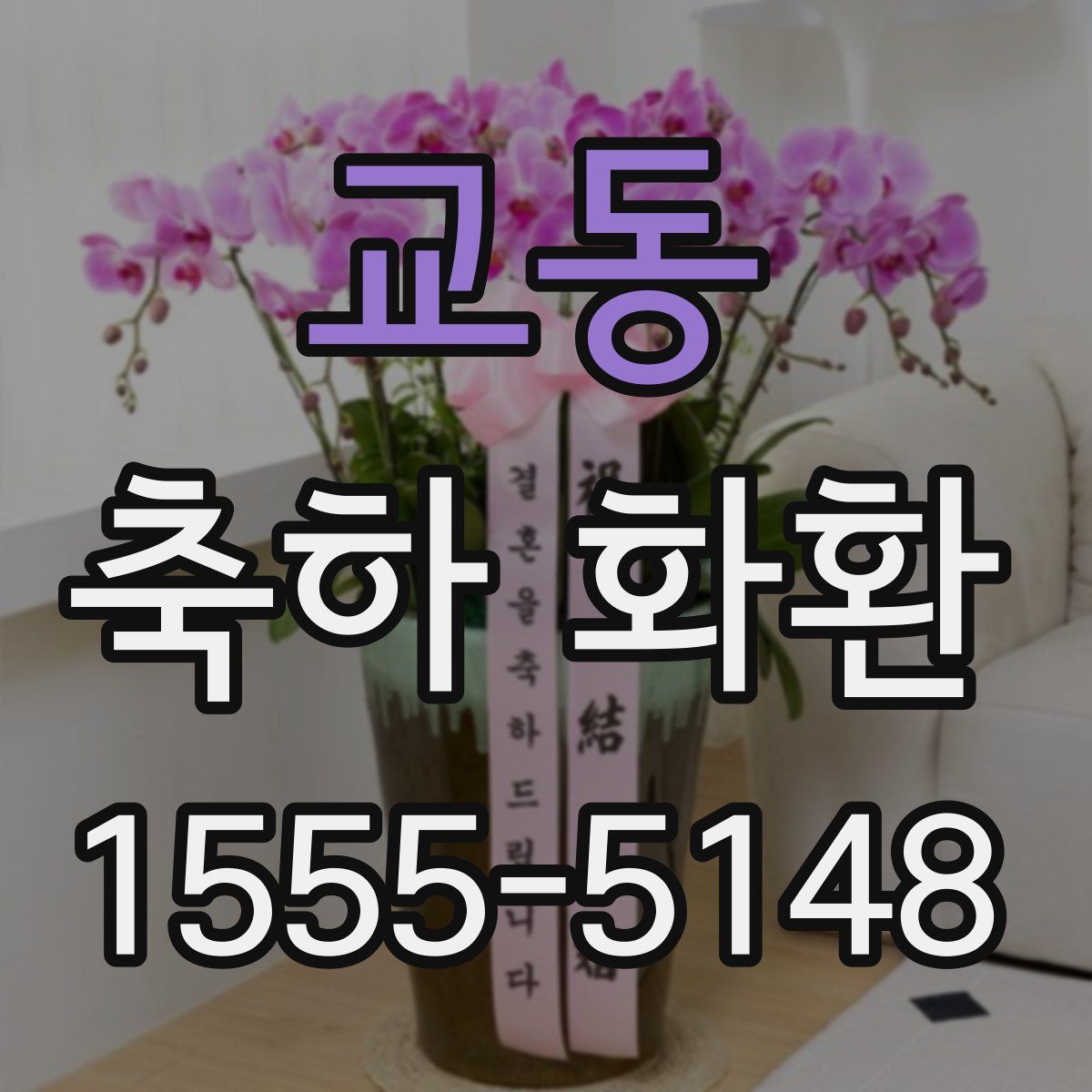 교동 축하 화환