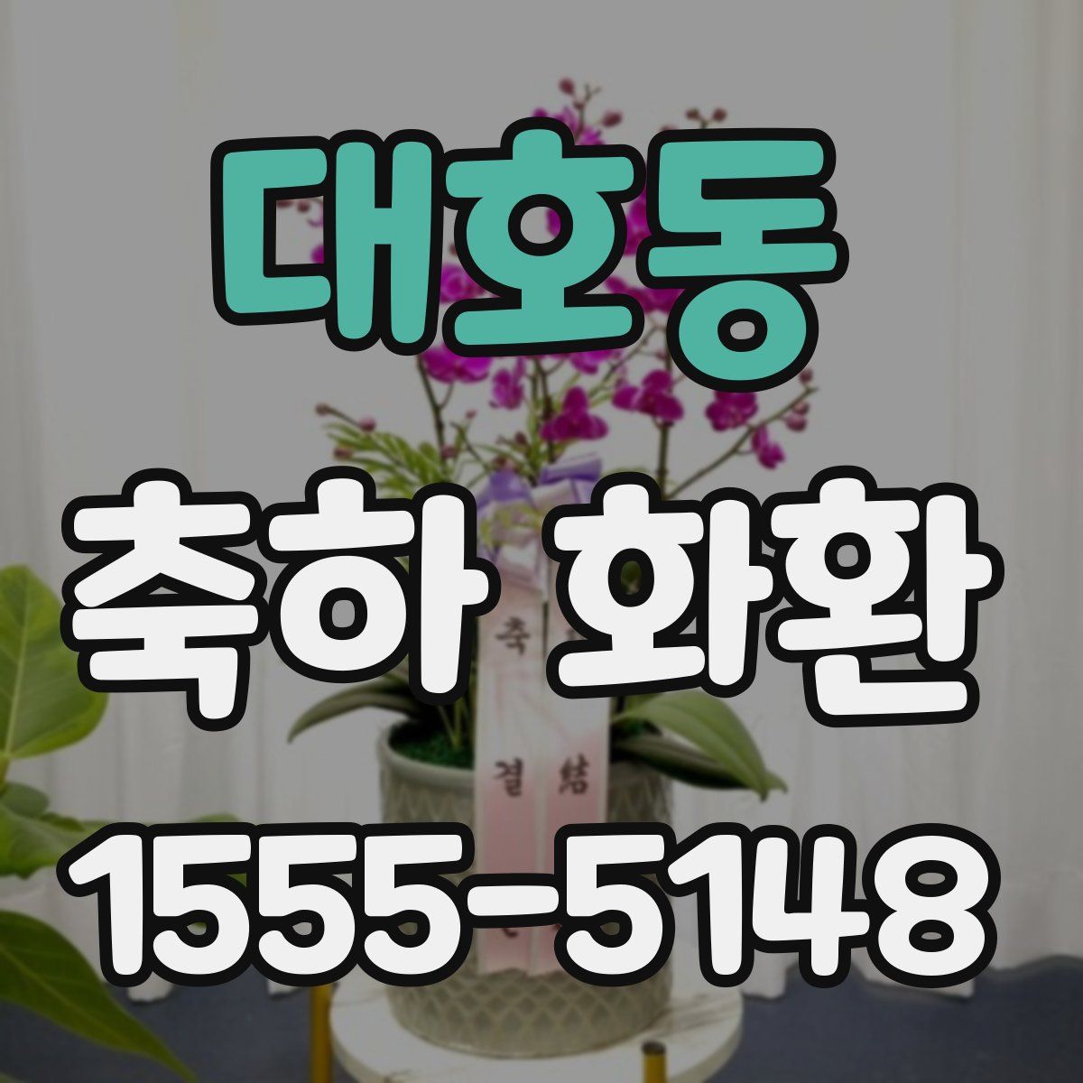 대호동 축하 화환