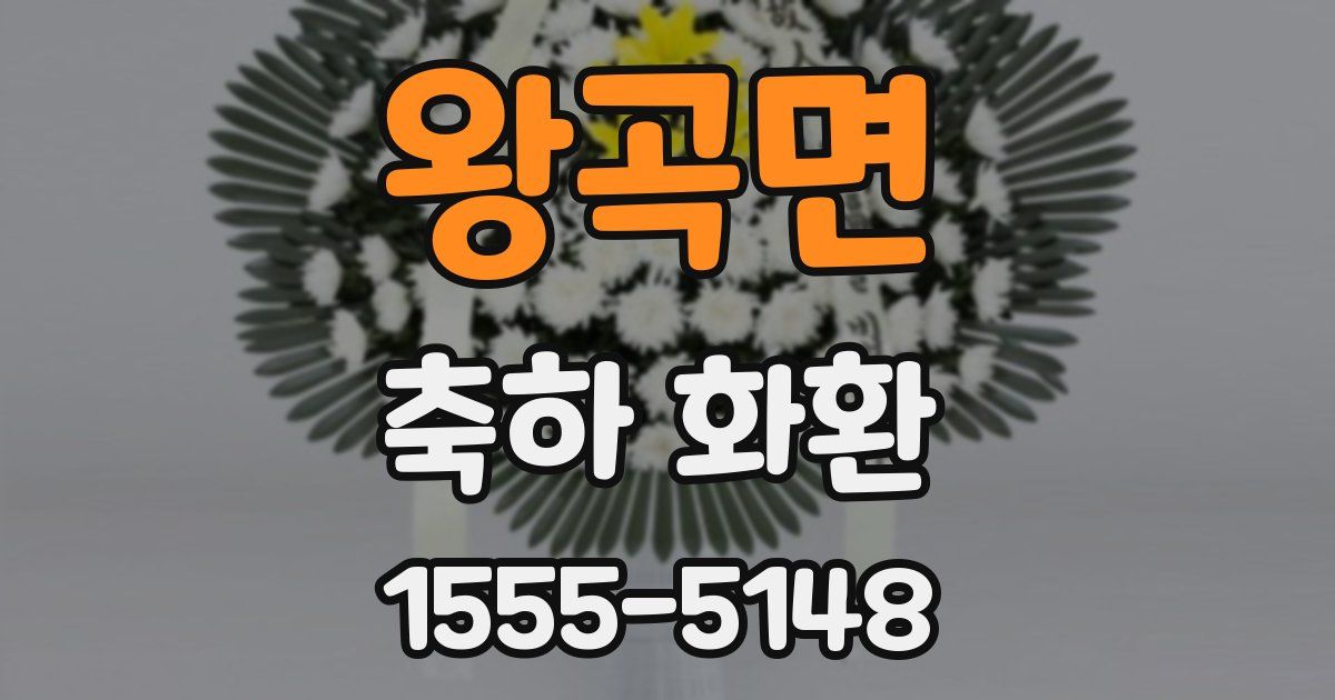 왕곡면 축하 화환