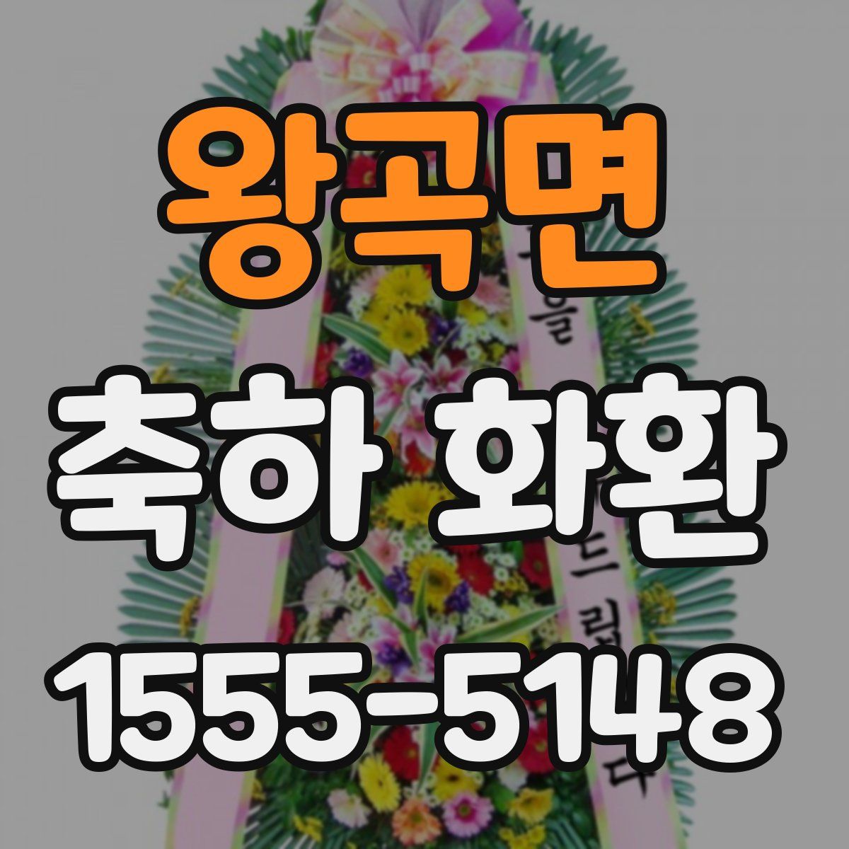 왕곡면 축하 화환