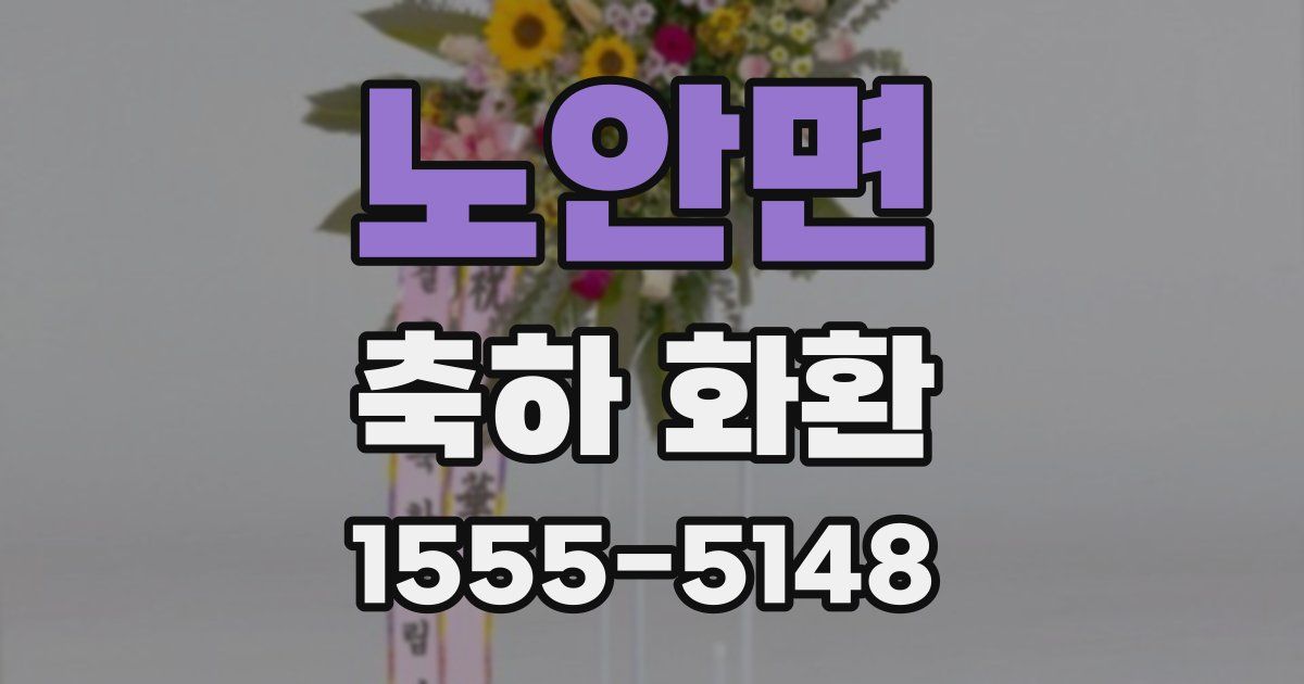 노안면 축하 화환