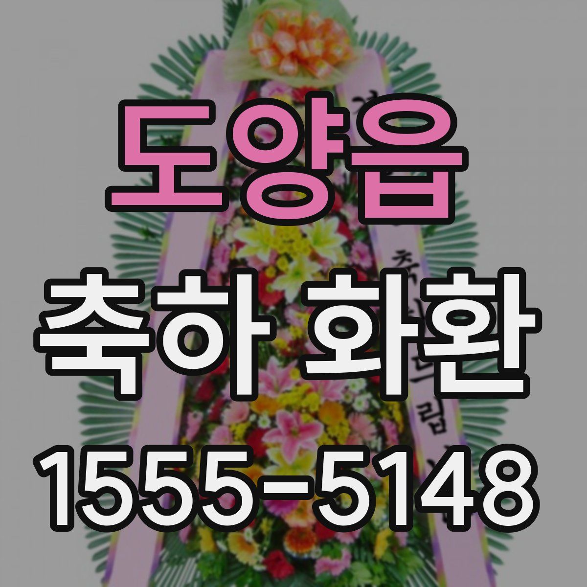도양읍 축하 화환